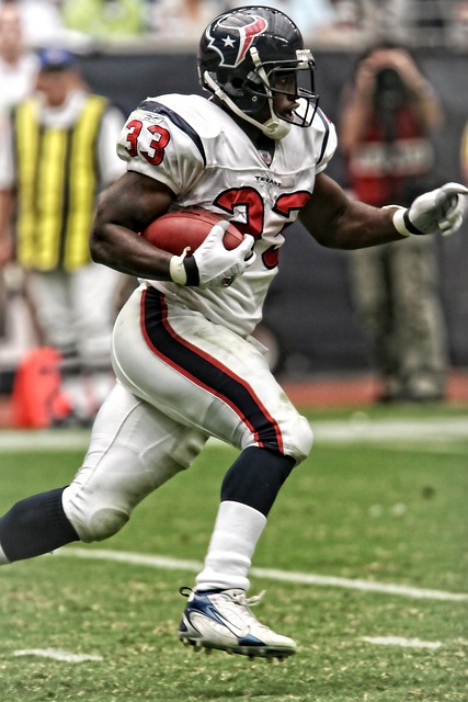 新项目将为 新项目将为