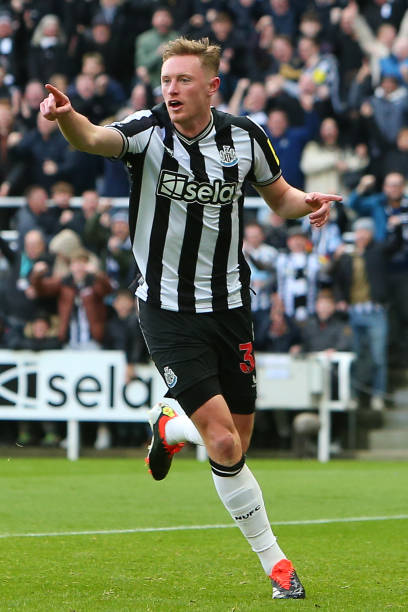 他们不仅在 他们不仅在